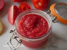 Tomato Puree Blender