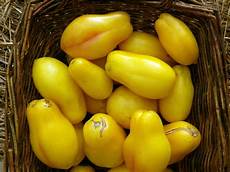 Sauce Peanuts